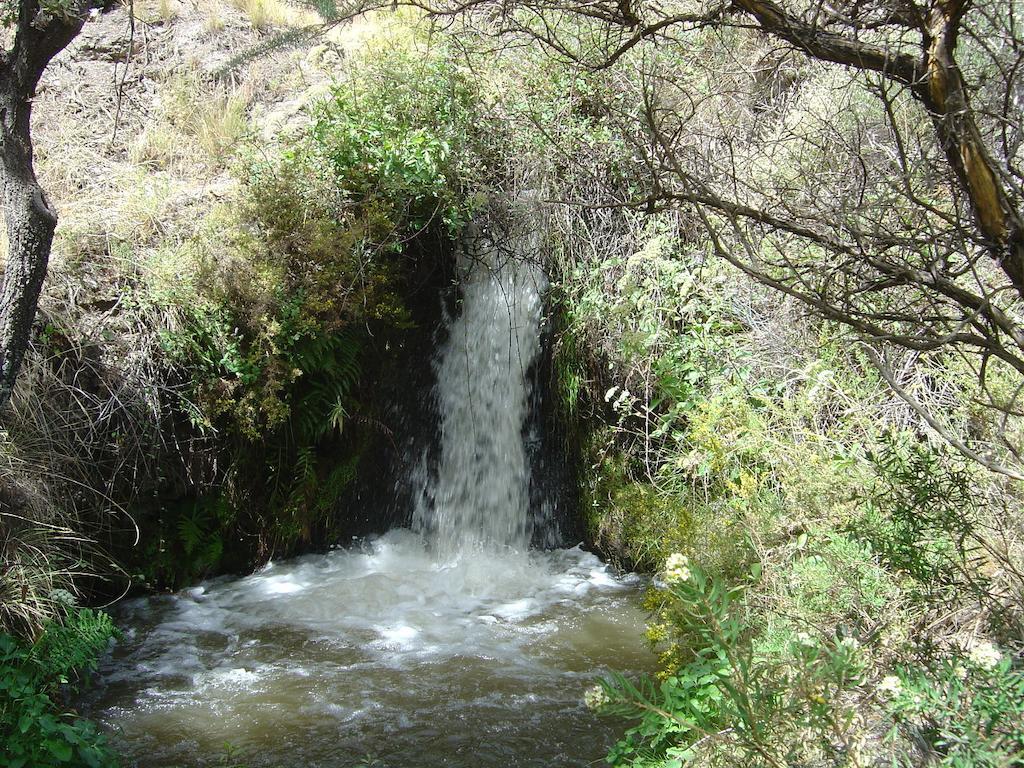 Cortijo Prado Toro Leilighet Pitres Eksteriør bilde