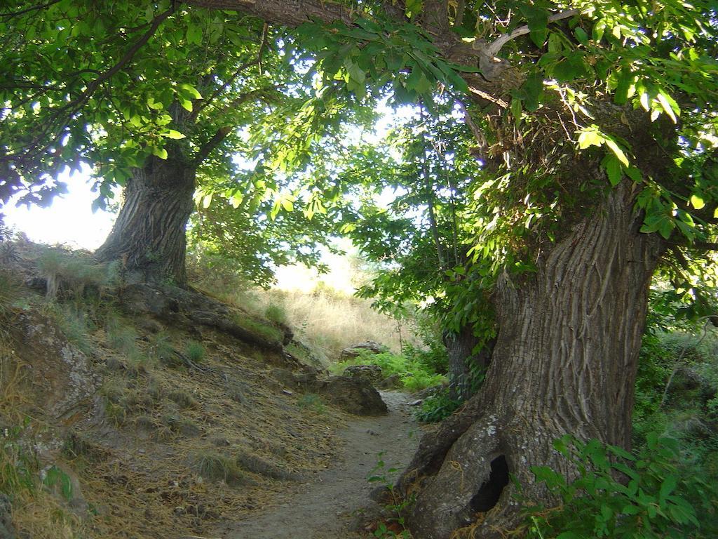 Cortijo Prado Toro Leilighet Pitres Eksteriør bilde