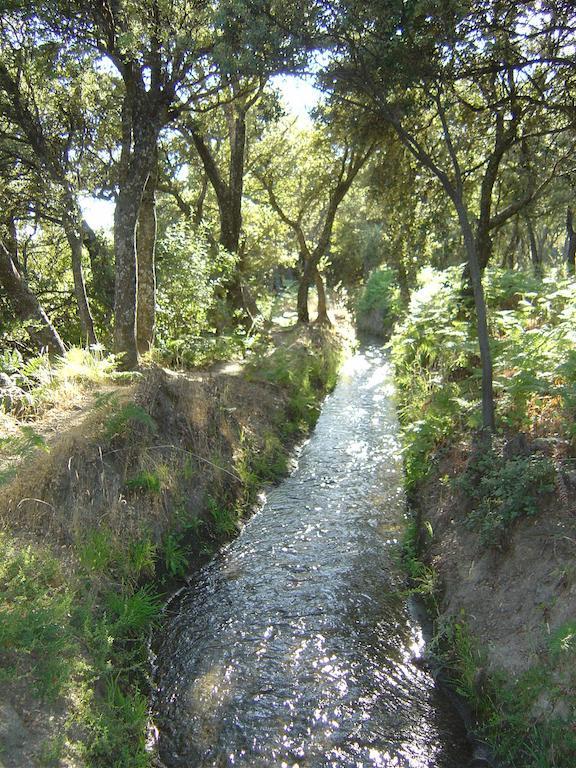 Cortijo Prado Toro Leilighet Pitres Eksteriør bilde
