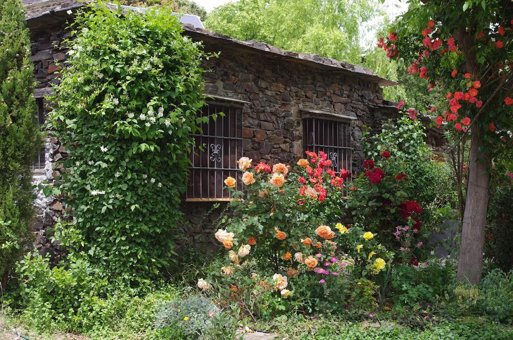 Cortijo Prado Toro Leilighet Pitres Eksteriør bilde